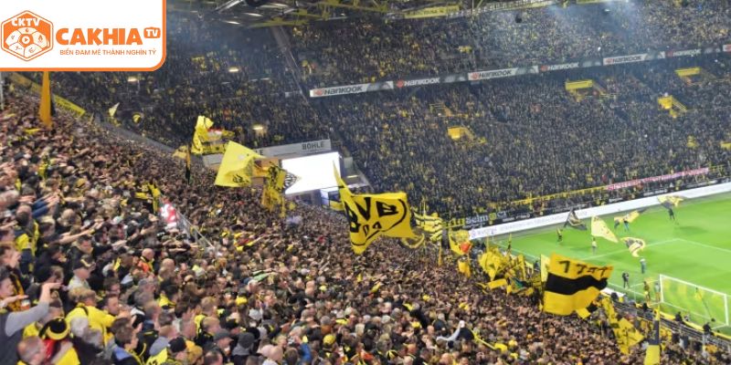 Fan hâm mộ đậm chất văn hóa đặc trưng